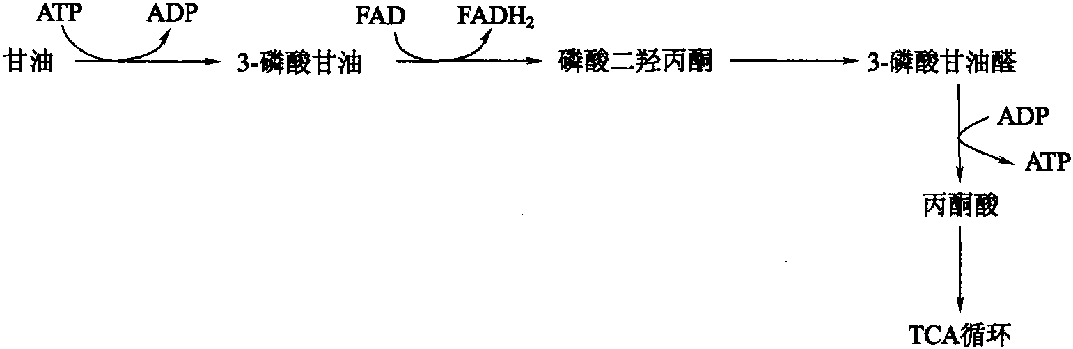 一、原料降解